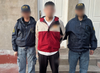 La PFA capturó en Ingeniero Budge a un prófugo con antecedentes por homicidio y robo automotor