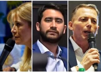 Magario, Sotelo y Gray: tres figuras, tres modelos que suenan para la disputa por la Tercera Sección Electoral