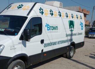 El Municipio de Brown rescató a 17 animales de un criadero de perros ilegal