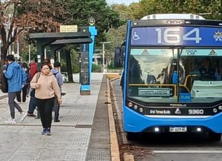 Elecciones con boleto libre: el transporte público será gratuito en toda la Provincia