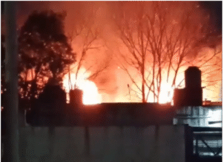 Incendio de gran magnitud en una maderera de Ingeniero Budge