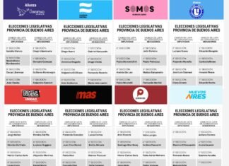 La Legislatura que viene: el peronismo se juega más que bancas en una elección clave para el poder territorial