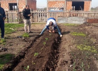 INTA en Esteban Echeverría: capacitación en producción hortícola