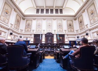 Avanza proyecto para jerarquizar la profesión de acompañante terapéutico