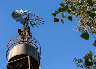 Almirante Brown lanza talleres de introducción al turismo para difundir sus atractivos culturales, artísticos e históricos