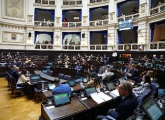 La Cámara de Diputados PBA dio media sanción a la ley que reconoce a los acompañantes terapéuticos