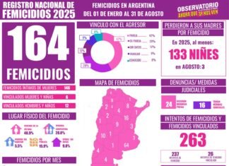 164 femicidios en lo que va del 2025: la violencia que no cesa