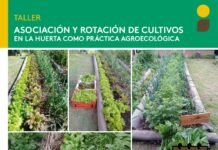 Guernica se llena de sabor: llega la Feria Soberana de la UNLZ