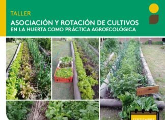 Guernica se llena de sabor: llega la Feria Soberana de la UNLZ