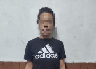 Capturan a sospechosa de robo con escalamiento en vivienda de Berazategui