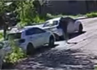 Alerta: robo de patentes en Lomas de Zamora