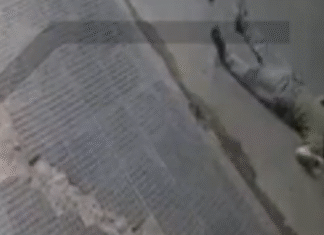 Un robarruedas murió tras un enfrentamiento con la policía en pleno centro de Lomas de Zamora