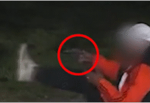 Monte Grande: tras ser detectado por las cámaras del COM, la policía detuvo a un hombre por tenencia de arma y estupefacientes