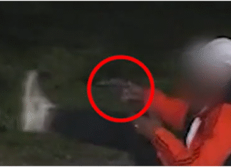 Monte Grande: tras ser detectado por las cámaras del COM, la policía detuvo a un hombre por tenencia de arma y estupefacientes