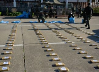Monte Grande y Ezeiza, epicentro del golpe al narcotráfico: incautan más de 440 kilos de cocaína camuflados en bananas