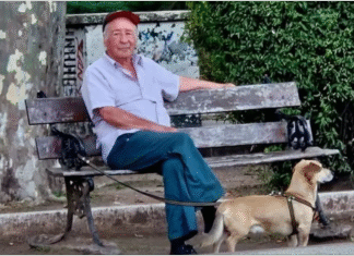 Doble traición y crimen: ex policías, la «marcadora» y un jubilado solitario en San Vicente