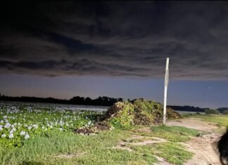La explosión de Ezeiza y el seguro ambiental obligatorio