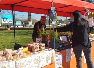 Guernica: Feria soberana de la agricultura familiar