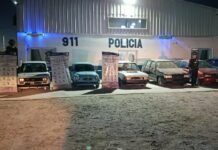 Megaoperativo en Alejandro Korn: 11 aprehendidos, vehículos robados y un arma incautada
