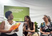 Daniela Vilar presentó el Frente Ambiental Latinoamericano en la COP30