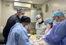 Una delegación de México visitó Zoonosis Brown para conocer y replicar su modelo de sanidad animal