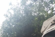 Tras los fuertes vientos, el Municipio de Echeverría realiza tareas de limpieza en la vía pública