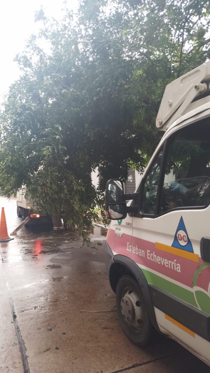 785cf246-8121-8af8-dcf1-be75e668e516