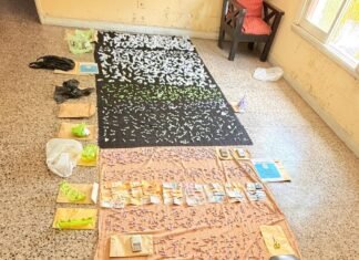 Golpe al narcotráfico en Dock Sud: 10 allanamientos, detenciones por tentativa de homicidio y secuestro de material policial