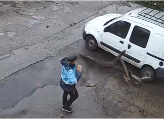 La ingeniería del malandra: el «Tronco Trampa», la nueva y peligrosa táctica de asalto en el acceso a la feria de La Salada