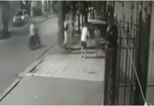 Ataque motochorro en Lanús: Le dispararon a la cabeza a una joven que paseaba a su perro