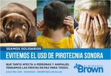 En Almirante Brown recomiendan evitar el uso de pirotecnia sonora y el consumo de alcohol en los conductores