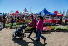 El fin de semana llega una nueva edición de la «Expo Feria» a la Granja Municipal de Brown