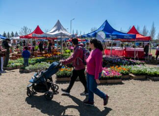 El fin de semana llega una nueva edición de la «Expo Feria» a la Granja Municipal de Brown