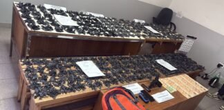 Desmantelan puesto de venta de drogas en Florencio Varela: hombre aprehendido y arma secuestrada