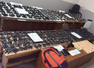 Desmantelan puesto de venta de drogas en Florencio Varela: hombre aprehendido y arma secuestrada