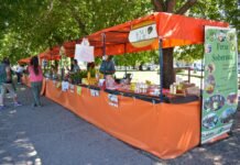 Feria Soberana en Guernica: encuentro con la agricultura familiar y productos locales