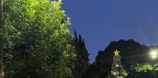 Banfield y su Árbol de Navidad: cuando una comunidad decide avanzar junta