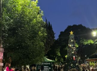 Banfield y su Árbol de Navidad: cuando una comunidad decide avanzar junta