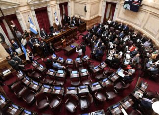 Alerta en el sistema educativo y científico: la provincia de Buenos Aires denuncia un «ajuste histórico» en el Presupuesto 2026