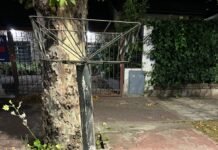 Dos detenidos por el robo de luminarias led en Monte Grande