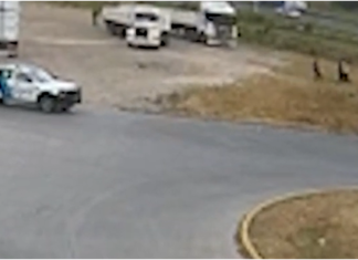 Con apoyo de las cámaras del COM, la policía detuvo a un delincuente por el robo de un auto en 9 de Abril