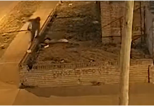 Entró a robar en una escuela, lo vieron por las cámaras del COM y fue detenido al instante