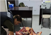 Canning: 150 kilos de carne podrida circulaban en una F-100 sin ningún control