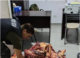 Canning: 150 kilos de carne podrida circulaban en una F-100 sin ningún control