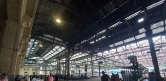 Tren Roca: por obras, el ramal La Plata circulará limitado este domingo