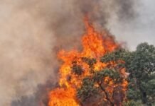 El «negocio del fuego»: La sombra de la especulación inmobiliaria tras los incendios en Spegazzini