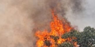 El «negocio del fuego»: La sombra de la especulación inmobiliaria tras los incendios en Spegazzini