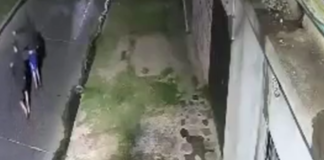 Lluvia de balas en Ingeniero Budge por una guerra territorial que no da tregua