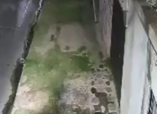 Lluvia de balas en Ingeniero Budge por una guerra territorial que no da tregua