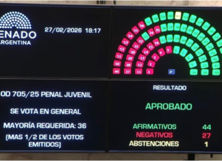 El Senado sancionó la baja de la imputabilidad a los 14 años y el Gobierno celebró el fin de la «impunidad»